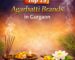 Top 15 Agarbatti Brands in Gurgaon